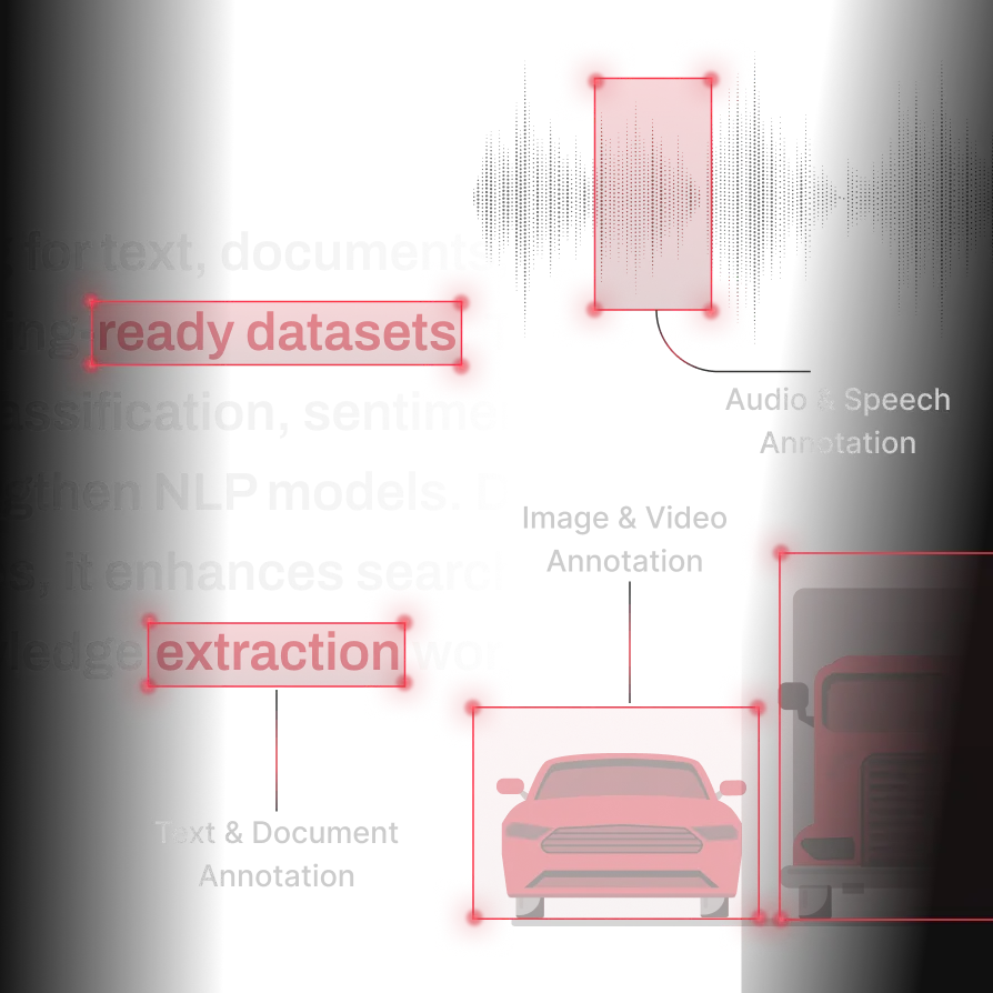 Data Annotation Services - image 1
