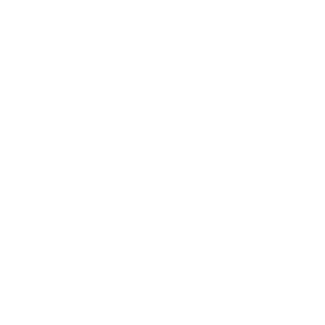 AI-Native Startups logo