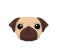 Pug